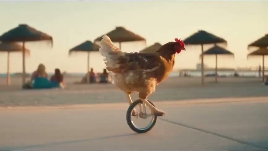 Chicken rides the unicycle along the beach promenade at golden hour - the gag in one frame — Plant Beast by Nick Tasker